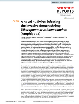A Novel Nudivirus Infecting the Invasive Demon Shrimp Dikerogammarus Haemobaphes (Amphipoda) Thomas W