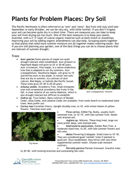 Plants for Problem Places: Dry Soil