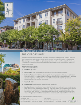 Belle Arts Condo Flyer