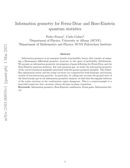 Information Geometry for Fermi-Dirac and Bose-Einstein Quantum Statistics