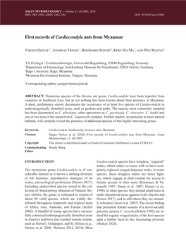 First Records of Cardiocondyla Ants from Myanmar