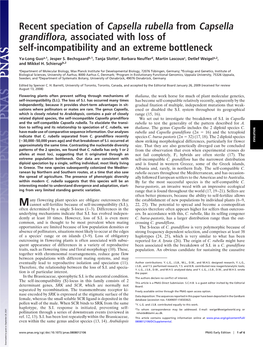 Recent Speciation of Capsella Rubella from Capsella Grandiflora, Associated with Loss of Self-Incompatibility and an Extreme Bottleneck