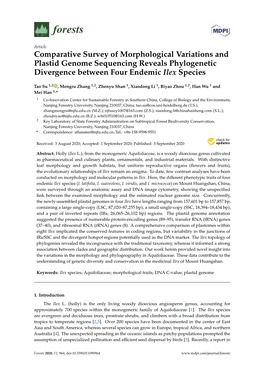 Comparative Survey of Morphological Variations and Plastid Genome Sequencing Reveals Phylogenetic Divergence Between Four Endemic Ilex Species