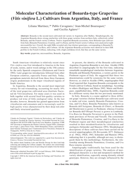 Molecular Characterization of Bonarda-Type Grapevine (Vitis Vinifera L.) Cultivars from Argentina, Italy, and France