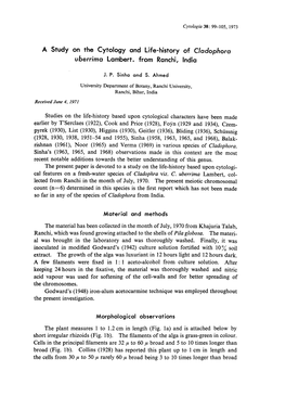 A Study on the Cytology and Life-History of Cladophora Uberrima Lambert