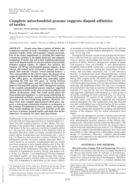 Complete Mitochondrial Genome Suggests Diapsid Affinities of Turtles (Pelomedusa Subrufa͞phylogeny͞amniota͞anapsids)