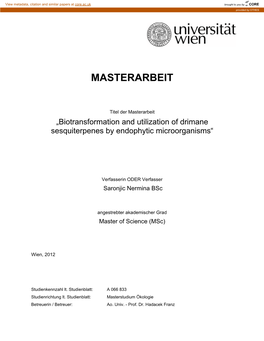 Masterarbeit