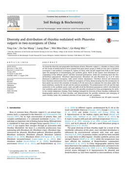 Diversity and Distribution of Rhizobia Nodulated with Phaseolus Vulgaris in Two Ecoregions of China