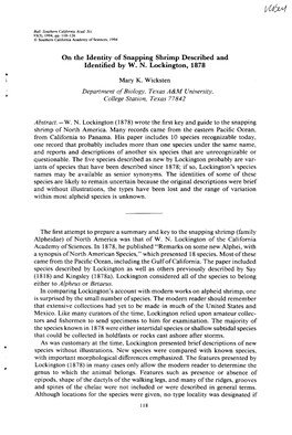 On the Identity of Snapping Shrimp Described and Identified by W. N. Lockington, 1878