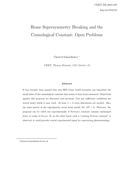 Brane Supersymmetry Breaking and the Cosmological Constant: Open Problems