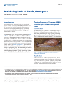 Snail-Eating Snails of Florida, Gastropoda1 Kurt Auffenberg and Lionel A