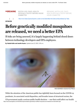Before Genetically Modified Mosquitoes Are Released, We Need a Better EPA - the Boston Globe