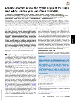 Genome Analyses Reveal the Hybrid Origin of the Staple Crop White Guinea Yam (Dioscorea Rotundata)