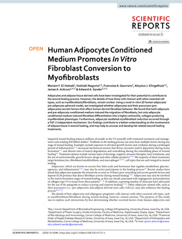 Human Adipocyte Conditioned Medium Promotes in Vitro Fibroblast Conversion to Myofibroblasts
