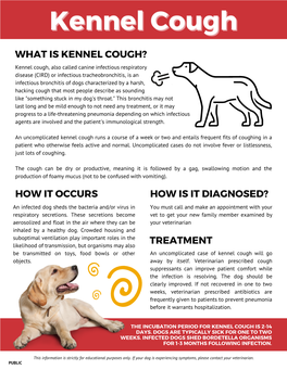 Kennel Cough