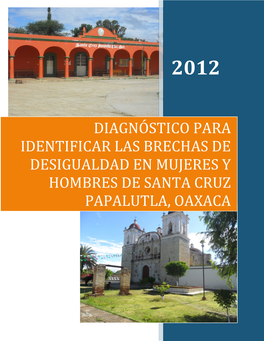Diagnóstico Para Identificar Las Brechas De Desigualdad En Mujeres Y Hombres De Santa Cruz Papalutla, Oaxaca C