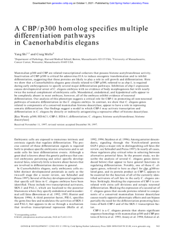 A CBP/P300 Homolog Specifies Multiple Differentiation Pathways in Caenorhabditis Elegans