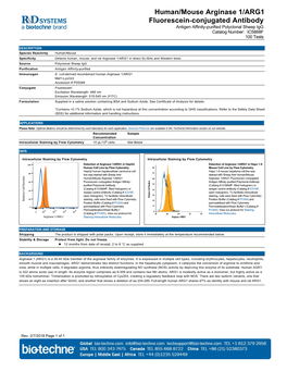 Human/Mouse Arginase 1/ARG1 Fluorescein-Conjugated Antibody