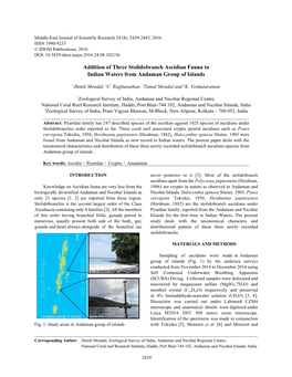 Addition of Three Stolidobranch Ascidian Fauna to Indian Waters from Andaman Group of Islands