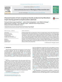 Characterization of New Exopolysaccharide Production by Rhizobium