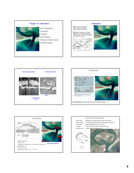 Chapter 12: Tidal Inlets Tidal Inlets