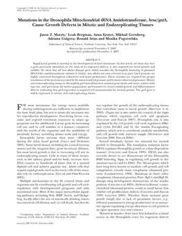Mutations in the Drosophila Mitochondrial Trna Amidotransferase, Bene/Gata, Cause Growth Defects in Mitotic and Endoreplicating Tissues