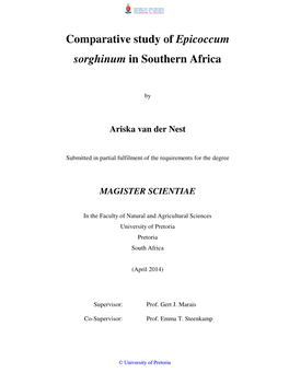 Comparative Study of Epicoccum Sorghinum in Southern Africa