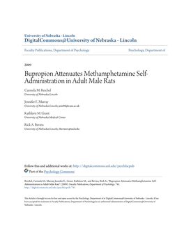 Bupropion Attenuates Methamphetamine Self-Administration in Adult Male Rats