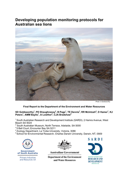 Developing Population Monitoring Protocols for Australian Sea Lions