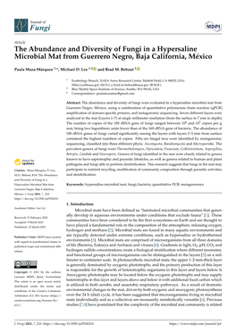 The Abundance and Diversity of Fungi in a Hypersaline Microbial Mat from Guerrero Negro, Baja California, México