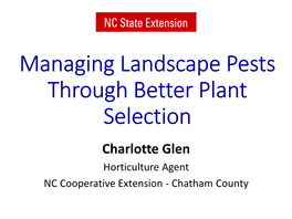 Pest Prone Landscape Plants and Their Alternatives