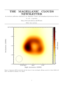 THE MAGELLANIC CLOUDS NEWSLETTER an Electronic Publication Dedicated to the Magellanic Clouds, and Astrophysical Phenomena Therein