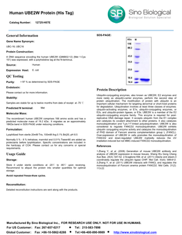 Human UBE2W Protein (His Tag)