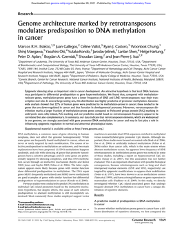 Genome Architecture Marked by Retrotransposons Modulates Predisposition to DNA Methylation in Cancer