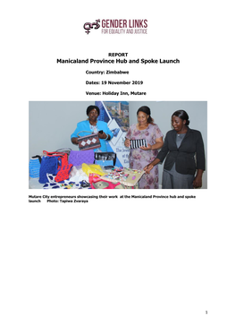 Manicaland Province Hub and Spoke Launch