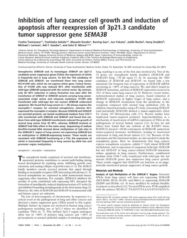 Inhibition of Lung Cancer Cell Growth and Induction of Apoptosis After Reexpression of 3P21.3 Candidate Tumor Suppressor Gene SEMA3B