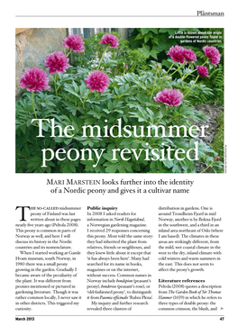 The Plantsman Looks Into the Midsummer Peony