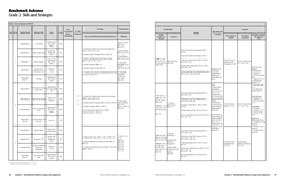 Benchmark Advance Grade 2 Skills and Strategies