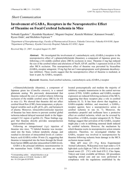 Involvement of GABAA Receptors in the Neuroprotective Effect of Theanine on Focal Cerebral Ischemia in Mice