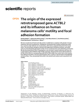 The Origin of the Expressed Retrotransposed Gene ACTBL2 And