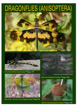 Dragonflies and Damselflies of Peninsular India-A Field Guide