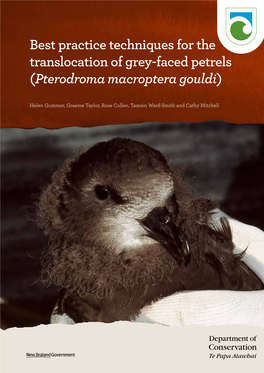 Grey Faced Petrels