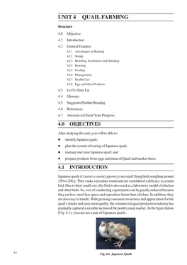 Unit 4 Quail Farming