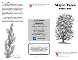 Maple Trees Caused by the Fungus Verticilium Albo-Atrum and Can Be Serious