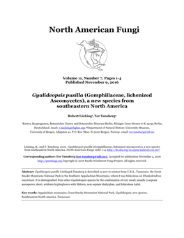 Gyalideopsis Pusilla (Gomphillaceae, Lichenized Ascomycetes), a New Species from Southeastern North America