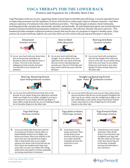 YOGA THERAPY for the LOWER BACK Postures and Sequences for a Healthy Back Class