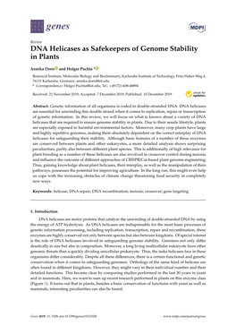 DNA Helicases As Safekeepers of Genome Stability in Plants