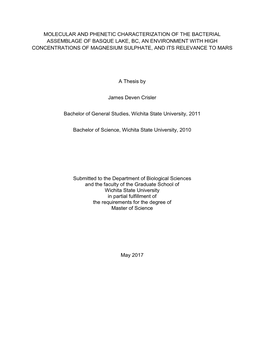 Molecular and Phenetic Characterization of the Bacterial