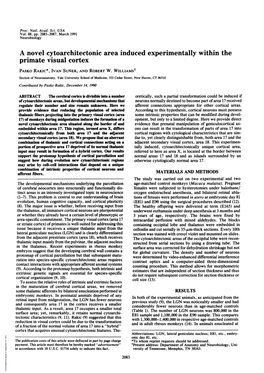 Primate Visual Cortex PASKO RAKIC*, IVAN SURER, and ROBERT W