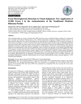 New Application of SYBR Green I in the Authentication of the Traditional Medicine Rhizoma Paridis